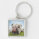 Search for lying key rings Nature