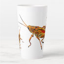 Search for grasshopper mugs Insect
