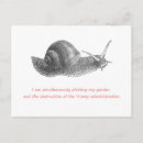 Search for dump postcards Politics