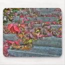 Search for autumn mousepads Colourful
