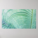 Search for softness posters Plant