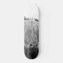 Search for bulls skateboards Nature