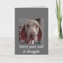 Search for kids get well cards Dog