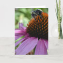 Search for echinacea cards Bee