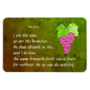Search for grapevine magnets Christian