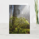 Search for judith cards Forest