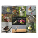 Search for robin bird calendars Bluebird