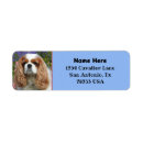 Search for dog breeder return address labels Animal
