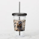 Search for sloth tumblers Wildlife