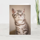 Search for grey hair postcards Pet