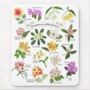 Search for philippine mousepads Tropical