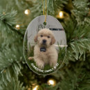 Search for pet memorial christmas tree decorations Dog photo
