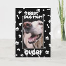 Search for dog photo cards Best dog mum ever