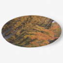 Search for tree plates Fall