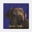 Search for black lab magnets Animal