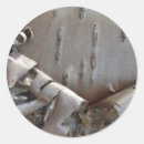 Search for birch stickers Nature