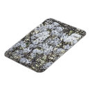 Search for clematis magnets Plants