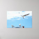 Search for flying canvas prints Birds