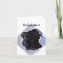 Search for pups cards Dog