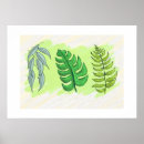 Search for plant drawing posters Leaves
