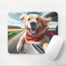 Search for car window electronics Pet