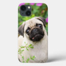 Search for colourful dogs iphone cases Animal