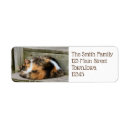 Search for calico cat return address labels Pet