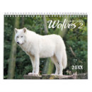 Search for wolves photography Wolf
