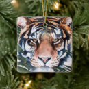 Search for wild animal christmas tree decorations Watercolor
