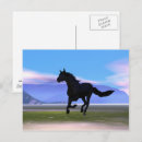 Search for horses galloping postcards Running