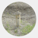 Search for gopher stickers Rodent