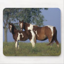 Search for foal mousepads Paint