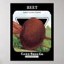 Search for beet posters Vegetable