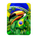 Search for toucans magnets Rainforest