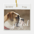 Search for joyful christmas tree decorations Script