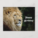 Search for panthera cards Lion