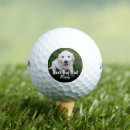 Search for golden retriever golf equipment Puppy