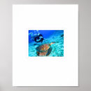 Search for sea turtle painting posters Marine life