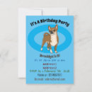 Search for chihuahua birthday invitations Pets