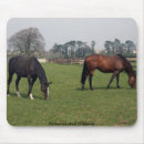 Search for tully Ireland