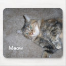 Search for maine coon cat mousepads Pet