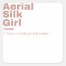 Search for aerial silks crafts party Girl