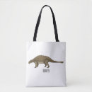 Search for evolution bags Dinosaur