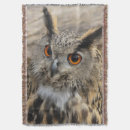 Search for owl photography Nature