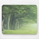 Search for haze mousepads Mist