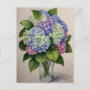 Search for blue hydrangea postcards Nature