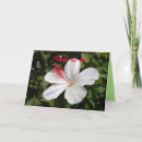 Search for fragrant cards Garden