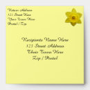 Search for easter envelopes Yellow