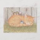 Search for funny mouse postcards Kitty