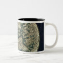 Search for augustus mugs Profile
